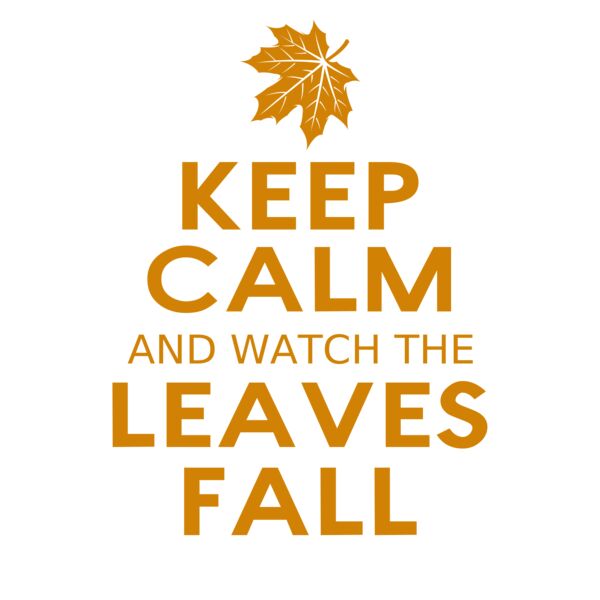 Fall Season 04 サムネイル