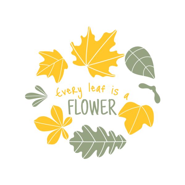 Fall Season 13 サムネイル