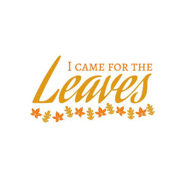 Fall Season 28 サムネイル