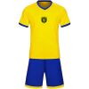 デモシミュレーション用サッカーウェア サムネイル