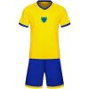 デモシミュレーション用サッカーウェア サムネイル